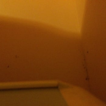 Desert Sun - I am extremely disgusted. I have never been in a room so dirty. This picture does not do room 4 justice. - Tanning Near Me - Olympia, Washington Desert Sun - I am extremely disgusted. I have never been in a room so dirty. This picture does not do room 4 justice. - Tanning Near Me - Olympia, Washington