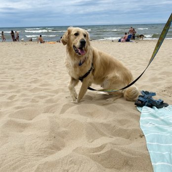 Kirk Park - Beaches Near Me - West Olive, Michigan
