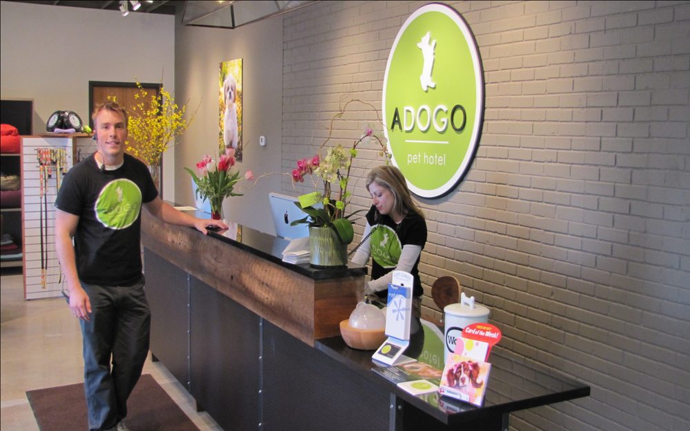 ADOGO PET HOTEL Updated October 2024 15 Photos & 28 Reviews 7400