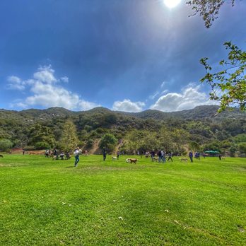 Laguna Beach Dog Park - Dog Parks Near Me - Laguna Beach, California Laguna Beach Dog Park - Dog Parks Near Me - Laguna Beach, California