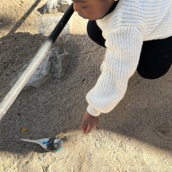 Gulf Breeze Zoo - Bird feeding zone
