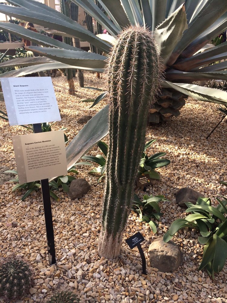 GARFIELD PARK Updated September 2024 817 Forest Ave, Aurora