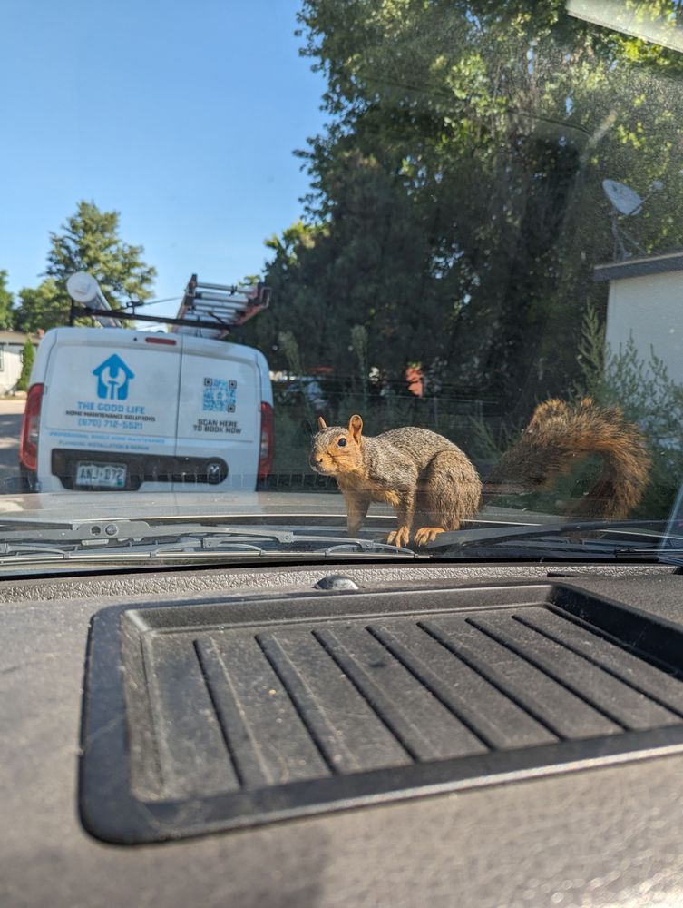 Slide of The Good Life Home Maintenance Solutions