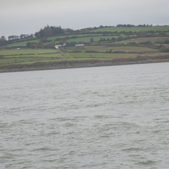 Shannon Ferries - Boat Tours Near Me - Kilrush, CE