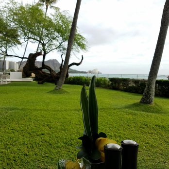 Orchids - The view from our table - Breakfast & Brunch Near Me - Honolulu, Hawaii Orchids - The view from our table - Breakfast & Brunch Near Me - Honolulu, Hawaii