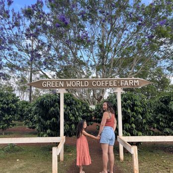 Grand Tours Around Island - Tours Near Me - Honolulu, Hawaii Grand Tours Around Island - Tours Near Me - Honolulu, Hawaii