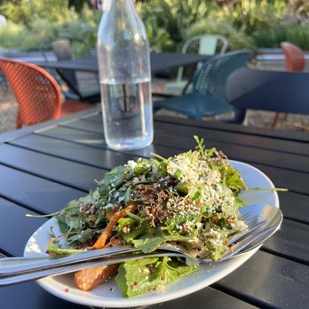The Spinster Sisters - Roasted carrot salad - New American Near Me - Santa Rosa, California