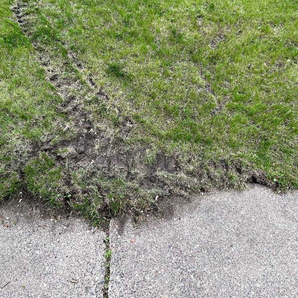 Hall Bunyan Tree Services - Snow Removal Near Me - Onalaska, Wisconsin Hall Bunyan Tree Services - Snow Removal Near Me - Onalaska, Wisconsin