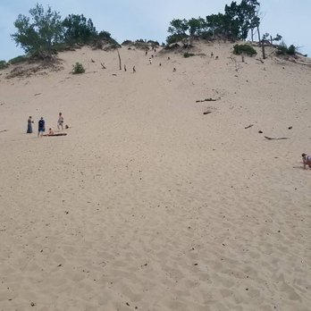 Warren Dunes State Park - Looking up at the dune ... very steep! - Parks Near Me - Sawyer, Michigan Warren Dunes State Park - Looking up at the dune ... very steep! - Parks Near Me - Sawyer, Michigan