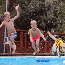Special Fishies:Aquatic Freedom and Education