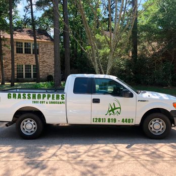 Grasshoppers Tree Cut - The Truck - Tree Services Near Me