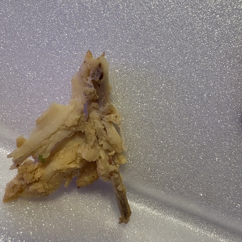 Melecios Mexican Restaurant - Bone that was in my chicken taco - Mexican Near Me - Lumberton, North Carolina Melecios Mexican Restaurant - Bone that was in my chicken taco - Mexican Near Me - Lumberton, North Carolina