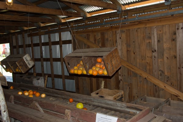 Pioneer Florida Museum & Village by null