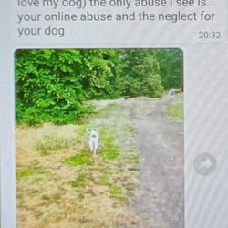 Muddy Paws of Notting Hill - Owners daughter and employee thinks dog owners using walkers are LAZY, NEGLECTFUL AND DON'T LOVE THEIR DOGS.