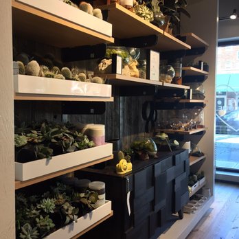 west elm - Fancy terrariums - Furniture Stores Near Me - Providence, Rhode Island