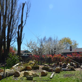 Altar Tree Service - Doing what we love and loving what we do! - Tree Services Near Me - Independence, Oregon