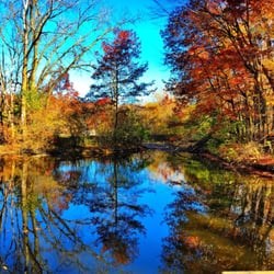 Captain Daniel Wright Woods Forest Preserve