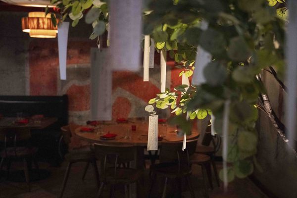 Singing Tiger by null