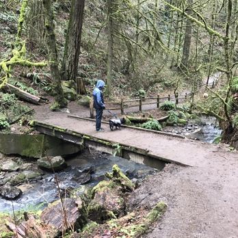 Macleay Park - Parks Near Me - Portland, Oregon