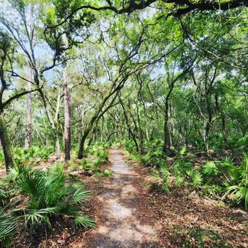 Manatee Springs State Park - One of several nature trails on a fine day. - Parks Near Me - Chiefland, Florida Manatee Springs State Park - One of several nature trails on a fine day. - Parks Near Me - Chiefland, Florida