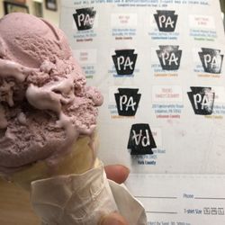 Hall's Ice Cream - Honey Raspberry