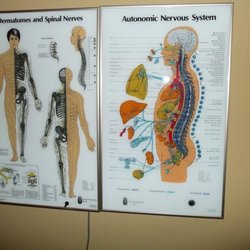DeRiggi Family Chiropractic