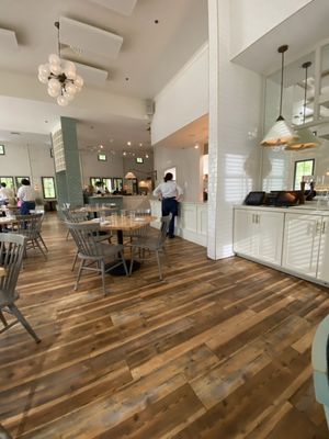 The Royal Tern by null The Royal Tern by null