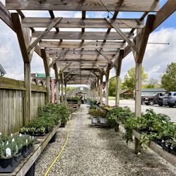 Lettuce Work Nursery