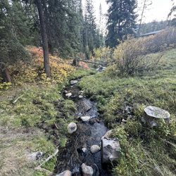 Elkhorn Hot Springs - Little streams around the campus