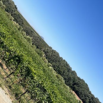 Tenuta Vineyards - Wineries Near Me - Livermore, California Tenuta Vineyards - Wineries Near Me - Livermore, California