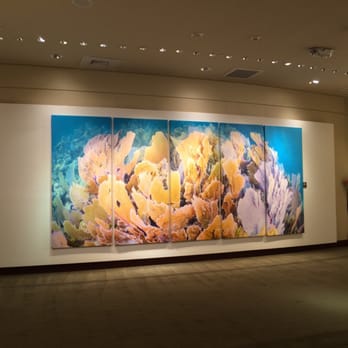 Gug Underwater - Art Galleries Near Me - Fort Lauderdale, Florida