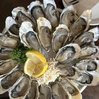 Harbour Oyster + Bar - 2 dozen oysters on HH - Cocktail Bars Near Me - Vancouver, British Columbia Harbour Oyster + Bar - 2 dozen oysters on HH - Cocktail Bars Near Me - Vancouver, British Columbia