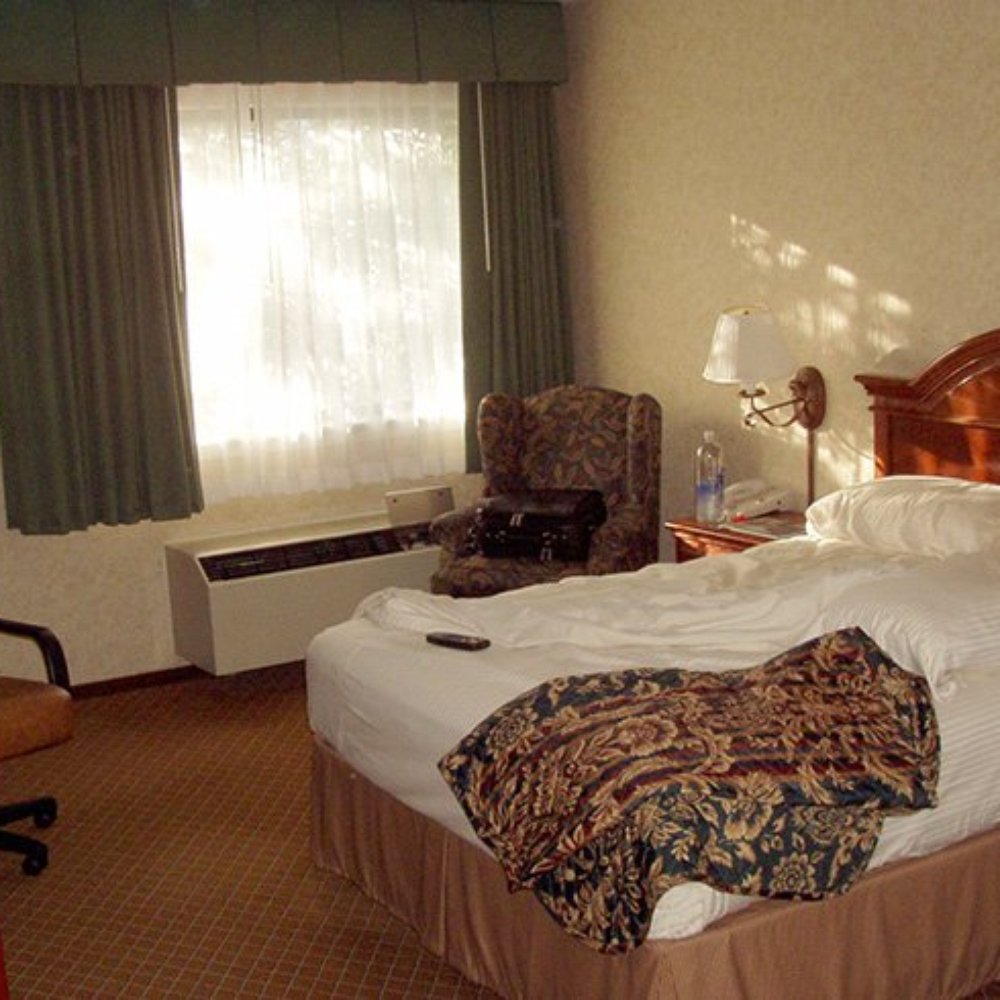 Maple Tree Inn - A standard room interior - Hotels Near Me - Sunnyvale, California Maple Tree Inn - A standard room interior - Hotels Near Me - Sunnyvale, California