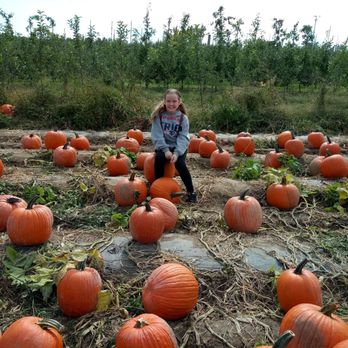 Bowman Orchards - Kids Activities Near Me - Rexford, New York