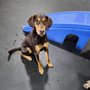 Photo of Bark & Roll