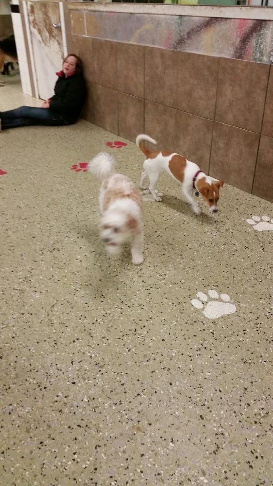 FUN FUR PETS Updated October 2024 1404 Green Bay St, La Crosse