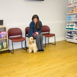 Rehm Animal Clinic at Tillman's Corner - Reception