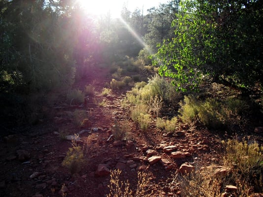 El Portal Sedona Hotel by null