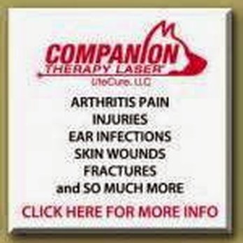Layton Veterinary Hospital - Veterinarians Near Me - Layton, Utah Layton Veterinary Hospital - Veterinarians Near Me - Layton, Utah