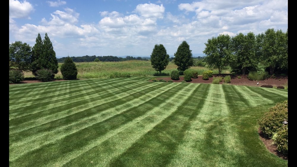 Williams Lawn Service 12 Photos Landscaping 243 Orchard Dale Dr Clear Brook Va Phone Number
