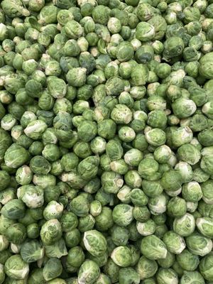 79th Street Greenmarket by null 79th Street Greenmarket by null