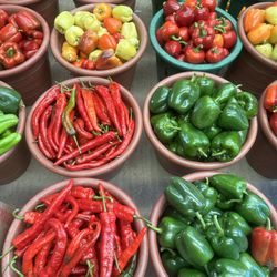 Holmquest Farms - Fresh picked peppers