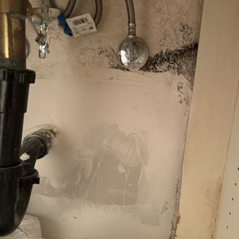Crescent Heights - Black mold bathroom - Apartments Near Me - Murrieta, California Crescent Heights - Black mold bathroom - Apartments Near Me - Murrieta, California