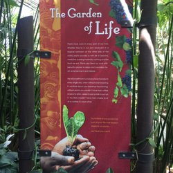 ENMAX Conservatory - Botanical garden