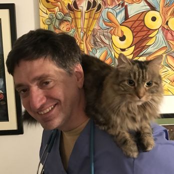 At Home Veterinary - Veterinarians Near Me At Home Veterinary - Veterinarians Near Me