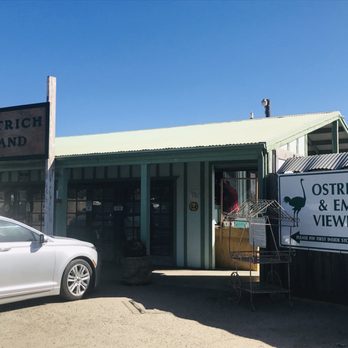 Ostrichland USA - Attraction Farms Near Me - Solvang, California