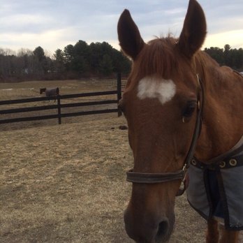 Lukens Stables - Horseback Riding Near Me - Ravena, New York Lukens Stables - Horseback Riding Near Me - Ravena, New York