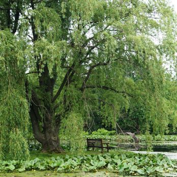 Holden Arboretum - Botanical Gardens Near Me - Kirtland, Ohio