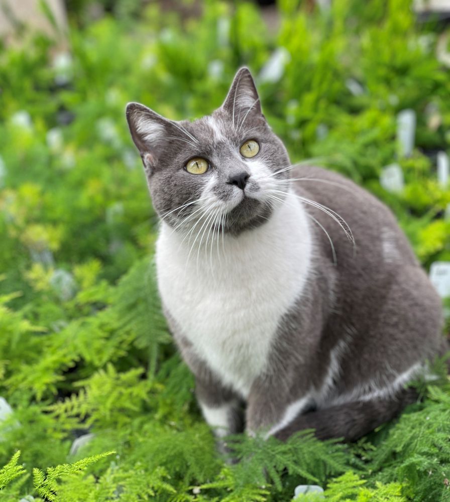 PEMBERTONS GREENHOUSES Updated September 2024 110 Photos 555