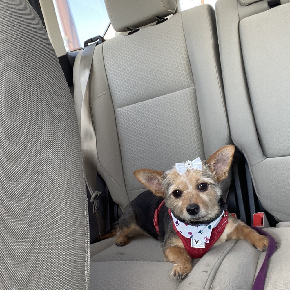 This is summer sausage with her fresh cut, all dolled up This is summer sausage with her fresh cut, all dolled up